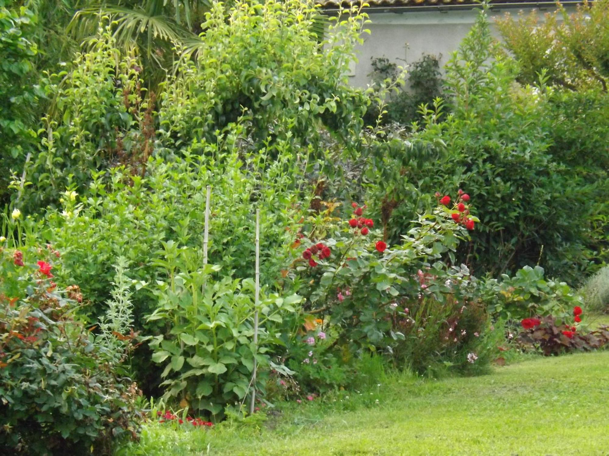 Damechouette Bed & Breakfast Pujols  Exterior foto